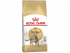 ROYAL CANIN FBN Bengal Adult - suché krmivo pro kočky - 10kg