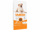 IAMS for Vitality Adult Large Breed - suché krmivo pro ps...