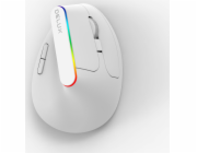 Bezdrátová vertikální myš Delux M618C 2,4G 1600DPI RGB (bílá)