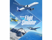 ESD Microsoft Flight Simulator Deluxe Edition