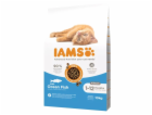 IAMS for Vitality Cat Kitten Ocean Fish - suché krmivo pr...