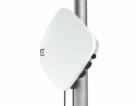 Access Point Extreme Networks AP460C-WR