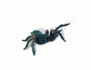 Bullyland 68453 - Tarantule