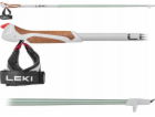 Leki  STICKS Nordic Walking Passion green 100