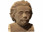 Kartonové 3D kartonové puzzle - Albert Einstein