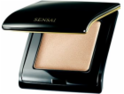 Kanebo Supreme Illuminator Face highlighter 4g