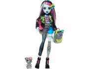 Panenka Mattel Monster High Frankie Stein