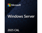 Microsoft Windows Svr CAL 2025 PL Clt User CAL OEM