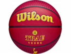 Ikona hráče Wilson  NBA Trae Young Outdoor Ball WZ4013201...