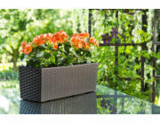 Hrnec Lamela BEGONIA RATTAN, hnědý, V56 cm, 20 cm