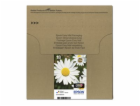 Epson T1806 Easy Mail Packaging - 4-balení - 15.1 ml - če...