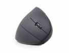 Gembird MUSW-ERGO-01 mouse RF Wireless Optical 1600 DPI R...