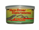 Lucky Reptile Herp Diner Superworms 35g