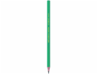 Evoluce Ecolutions Bic Pencil Evolution HB bez gumy (47K0...