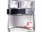 Salvatore Ferragamo F od Ferragamo Pour Homme EDT 100 ml