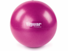 Cvičební míč Tiguar Easyball 25 cm švestka