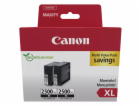 Canon cartridge INK PGI-2500XL/Black/Twinpack / 2500str.