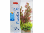 Zolux Plantkit Idro N°1