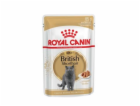 ROYAL CANIN British shorthair balíček 12x85g