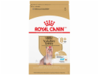 Royal Canin Yorkshire Aging 8+ - suché krmivo pro starší ...