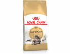 Royal Canin FBN Maine Coon Adult - suché krmivo pro dospě...