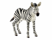 Schleich Wild Life         14811 Zebra Foal