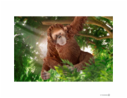 Schleich 14775 Orangutan