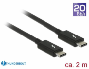 Delock - Kabel Thunderbolt - 24 pin USB-C (M) do 24 pin USB-C (M) - USB 3.1 Gen 1 / Thunderbolt 3 / DisplayPort 1.2a - 20 V - 3 A - 2 m - podporuje 4K - černá