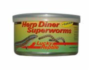 Lucky Reptile Herp Diner Superworms 35g