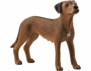 Schleich 13895 Farm World Rhodesian Ridgeback