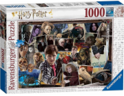 Puzzle 1000 dílků Harry Potter - hrdinové