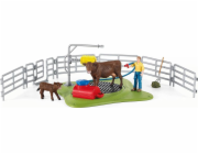 Schleich Happy Cow Wash 42529