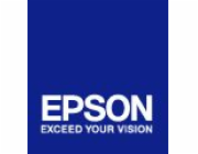 Epson T636 Vivid Magenta 700 ml