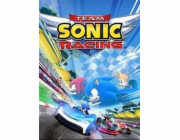 PS4 - Team Sonic Racing