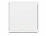 Tesla Smart Switch ZigBee