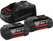 2 X GBA 36V 6.0AH + GAL 3680 CV, Set