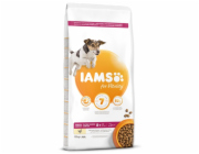 IAMS for Vitality Senior Small & Medium - suché krmivo pro psy - 12 kg