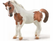 Figurka Collecta COLLECTA CHINCOTEAGUE PONY Kaštan PINTO