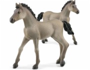 Schleich Horse Club     13949 Criollo Definitivo Foal