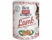 BRIT Care Cat Snack Superfruits Lamb - pamlsek pro kočky - 100 g