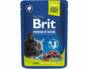 Brit BRIT CAT PREM.LAMB NA STERILIZOVANÉ 100G SÁČEK 111831 446 JÍDLO PRO KOČKY