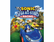 ESD Sonic & SEGA All-Stars Racing