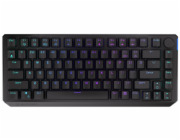 Endorfy herní klávesnice Thock 75% Red/ drátová / USB / red switch / mechanická / CZ layout / černá RGB