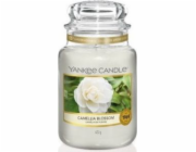 Yankee Candle Svíčka Camellia Blossom 623g