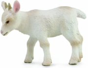 Collecta Figurine Baby Goat Walking (S) (004-88787)