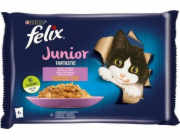 Felix Fantastic Junior rural flavors in