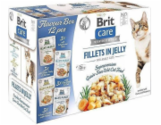 BRIT Care Fillets in Jelly Flavour Box-