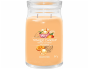 Svíčka ve skleněné dóze Yankee Candle, Mangová zmrzlina, 567 g