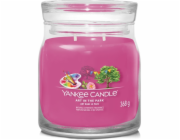 Svíčka ve skleněné dóze Yankee Candle, Umění v parku, 368 g