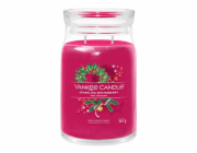 Svíčka ve skleněné dóze Yankee Candle, Jiskrné zimní bobule, 567 g